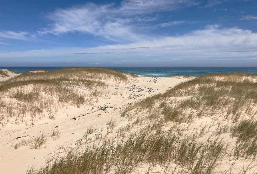 1 Bedroom Property for Sale in Meerensee Western Cape